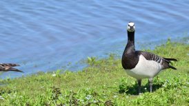 2022-06-11 crezeepolder 128